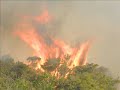 This was out the front of my house, Hot dry weather and kids with matches don't mix well...