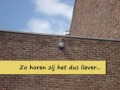 VKO reclamespot