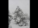 A Belv� aspettando il Natale 2007