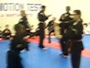 hta martial arts    children  