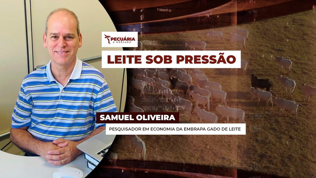 Preços do leite ao produtor seguem em queda e tendência é de mais pressão