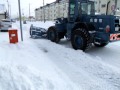 名寄市俳雪