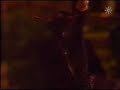 los gitanos en campana 2003