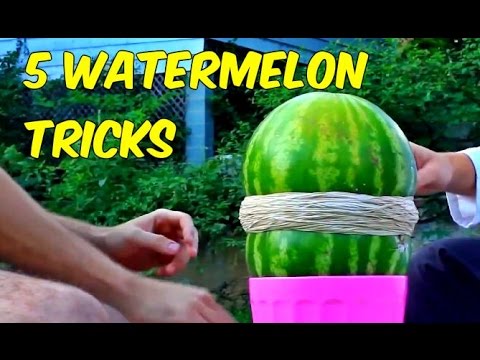 5 Watermelon Tricks