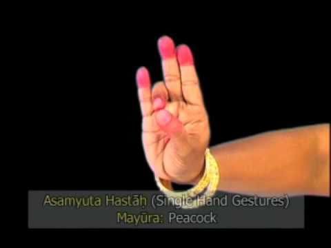 hindu singles in markham Asiandate is an international dating site that brings you exciting introductions and direct communication with asian women. hindu singles in markham Asiandate is an international dating site that brings you exciting introductions and direct communication with asian women.