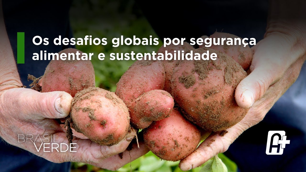 O Brasil e a produção de alimentos: os desafios globais por segurança alimentar e sustentabilidade