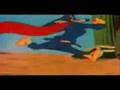 Wile e Coyote Superman.