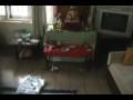 videos de Savitacha Balanatavida (Kimaya's gifts)
