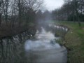Super vlinders & vlinders 2007/2008