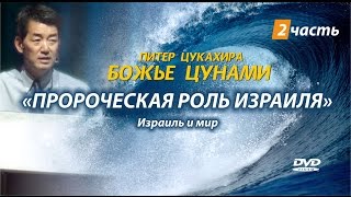 «БОЖЬЕ ЦУНАМИ»  2 часть. Пророческая роль Израиля