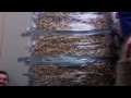 Saran wrap prank