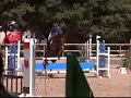 lamotte-beuvron-2008.html