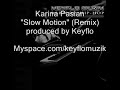 Karina Pasian-Slow Motion  (remix)