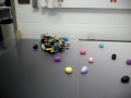 egg hunt robot test