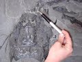 F�sil de Ara�a Era Paleozoica