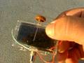 videos de Solar cell from radio shack turned into spinning gizmo. I'm trying to learn more about solar send me info!