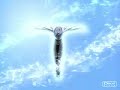 dn angel amv