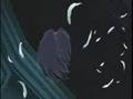 DN Angel AMV