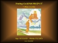 KINH PHÁP CÚ - 07 Phẩm A LA HÁN - Nhạc Võ Tá Hân - Thơ Tuệ Kiên