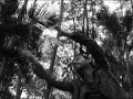 foto-historia 