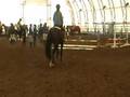 videos de Bodie takes a vertical