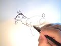 Speak Fluent Dominican: lesson 6 Speak Fluent Dominican: lesson 6