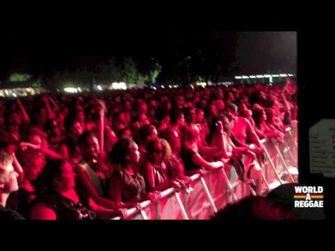 Palance - http://www.WorldAReggae.com Major Lazer lets the Massive Palance at Summerjam- Köln, June 6, 2013.