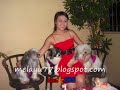 melayu77.blogspot.com...