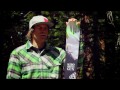 2013 Salomon Shogun 100 Skis