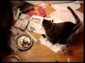 Bubbers, Bing & Ollie part 1