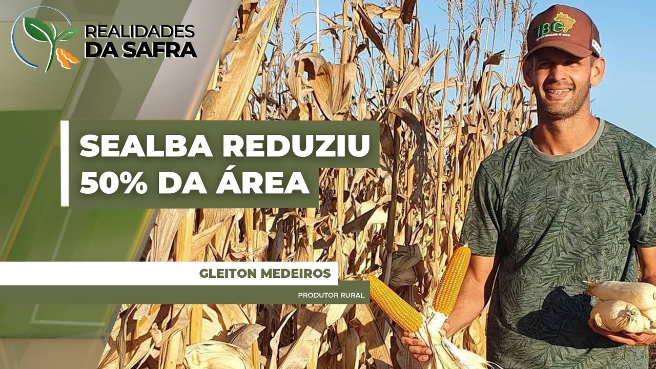 Sealba teve redução de 50% na área plantada após mudanças do Proagro