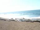 Afternoon at the beach