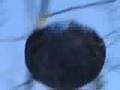 Metsämies ja UFO