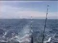 Fiji Fishing Trip