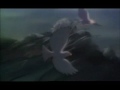Bambi and Feline: Chasing cars
