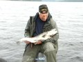 Pelles Öring 5,5 kg Holmsjön 2009