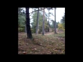 Dirtsurfer jump session