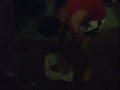 ricky turps