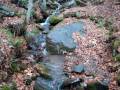 videos de Bubbling Brook Along Pinnacle Trail
