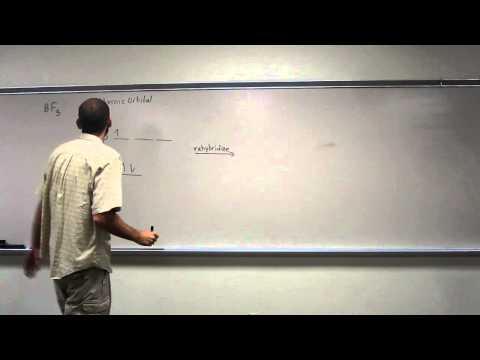 how to fill hybrid orbitals