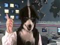 videos de http://www.viacasa.it/ immobiliare casa news 28