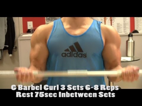 BEST Beginner Muscle Building/Strength Program: Day 1 Full Body