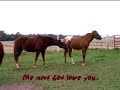 In Memory of Sundance
