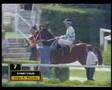 Start Folie Turf