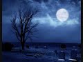 Asalamu alaikum, This is my first video on youtube. It is from a lecture by Shaykh Abu Yusuf Tawfique Chowdhury regarding the Hereafter. This lecture was done at a cemetary so you can imagine how our brothers and sister felt while being there. I hope it is beneficial for you, inshallah. I'll be posting up part 2 soon.