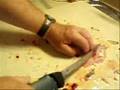 Bluegill Filleting