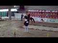 ACERTIJO DE MACEDONIA
