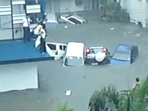 Imagen de previsualización de YouTube
