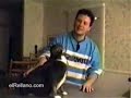 gatitos parlantes