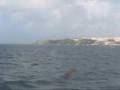San Juan, Puerto Rico: Ferry ride - Catano to San Juan